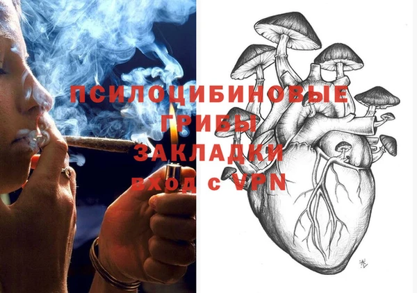твердый Богданович