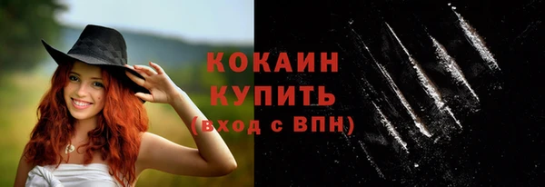 твердый Богданович