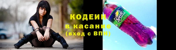 твердый Богданович