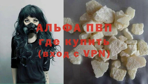 твердый Богданович