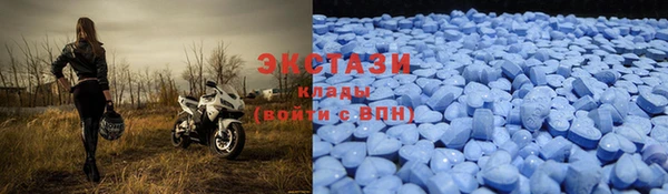 твердый Богданович