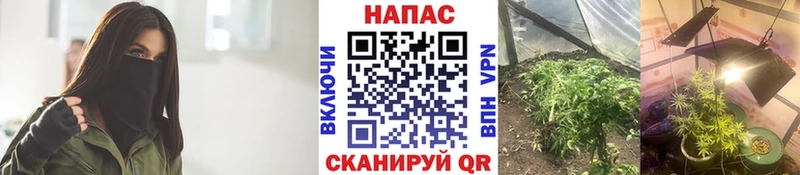 Конопля семена  ссылка на мегу ссылка  Дятьково  магазин  наркотиков 
